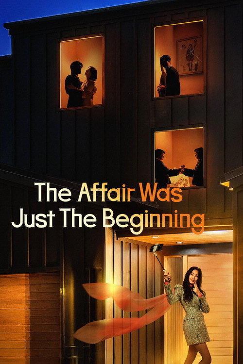 The Affair Was Just The Beginning poster