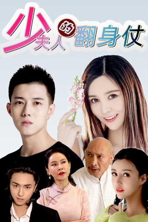 少夫人的翻身仗 poster