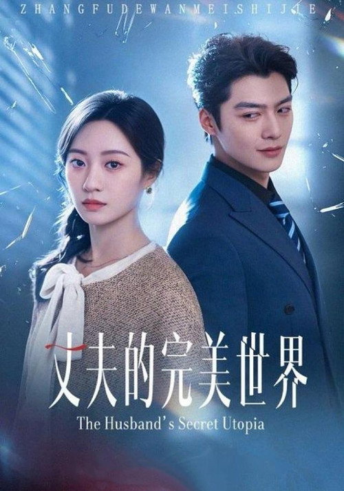 丈夫的完美世界 poster