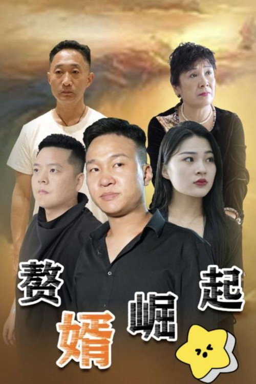 赘婿崛起 poster