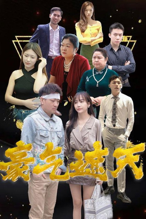 豪气遮天 poster