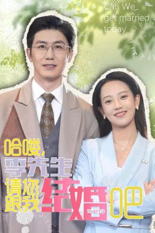 哈喽，季先生请您跟我结婚吧 poster