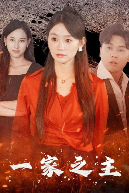 一家之主 poster